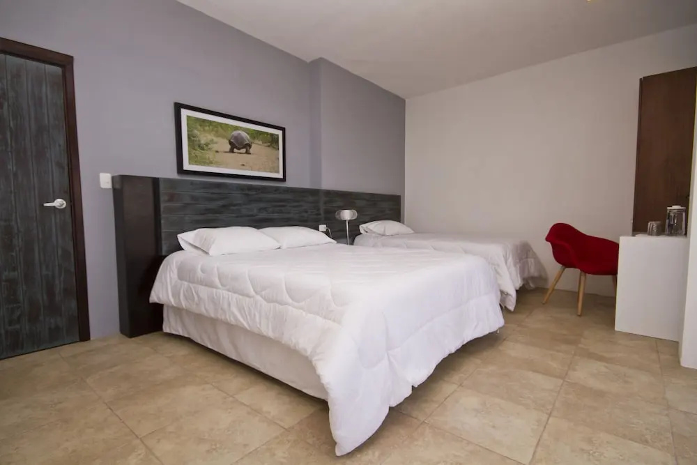 Hotel Volcano - Général