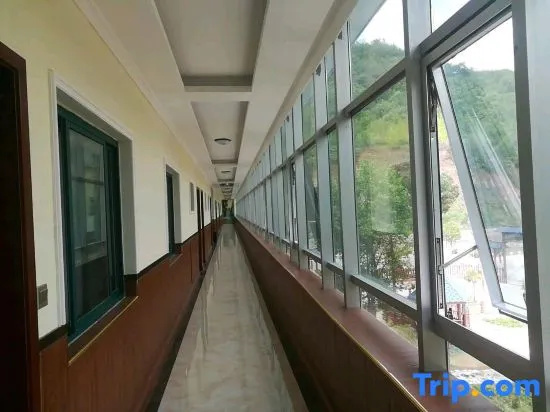 Balcony & Terrace