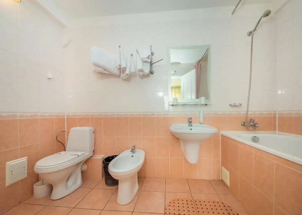 Deluxe Double room (full double bed)