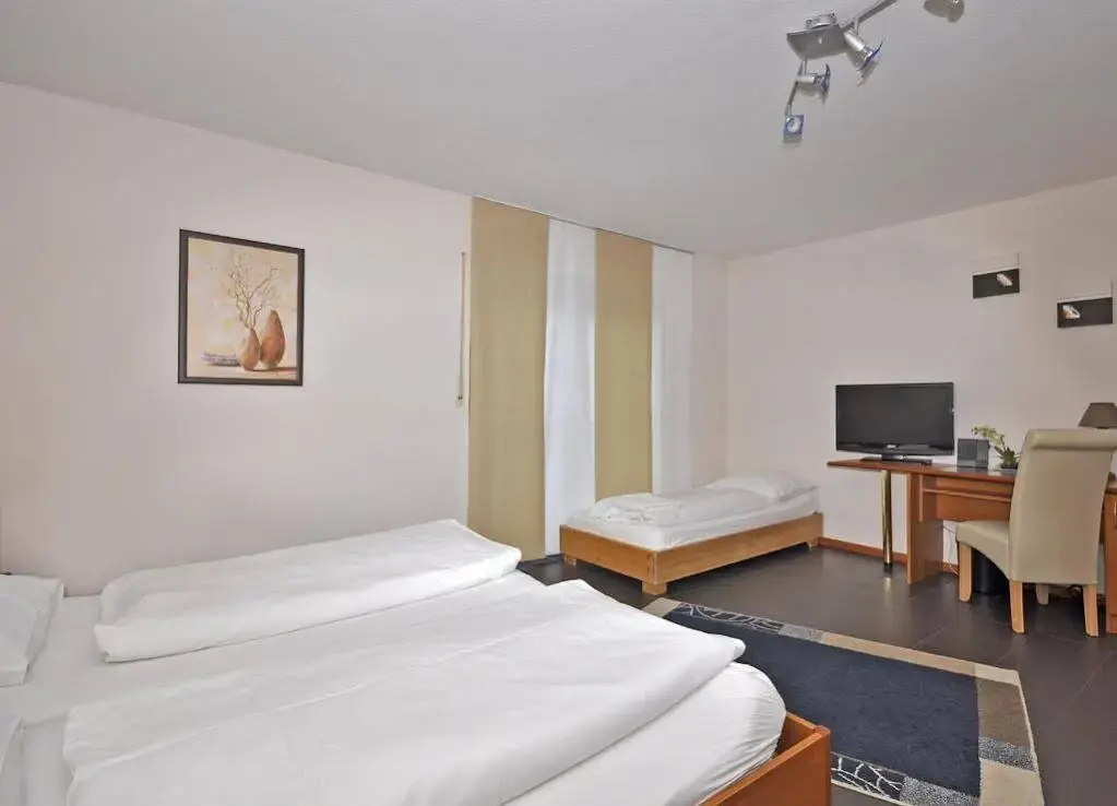 Hotel Lindenhof - Général
