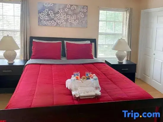 Modern Executive Master Bedroom