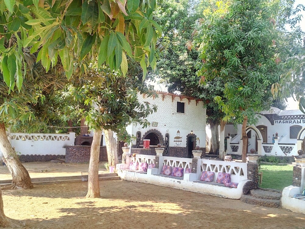 Image 15