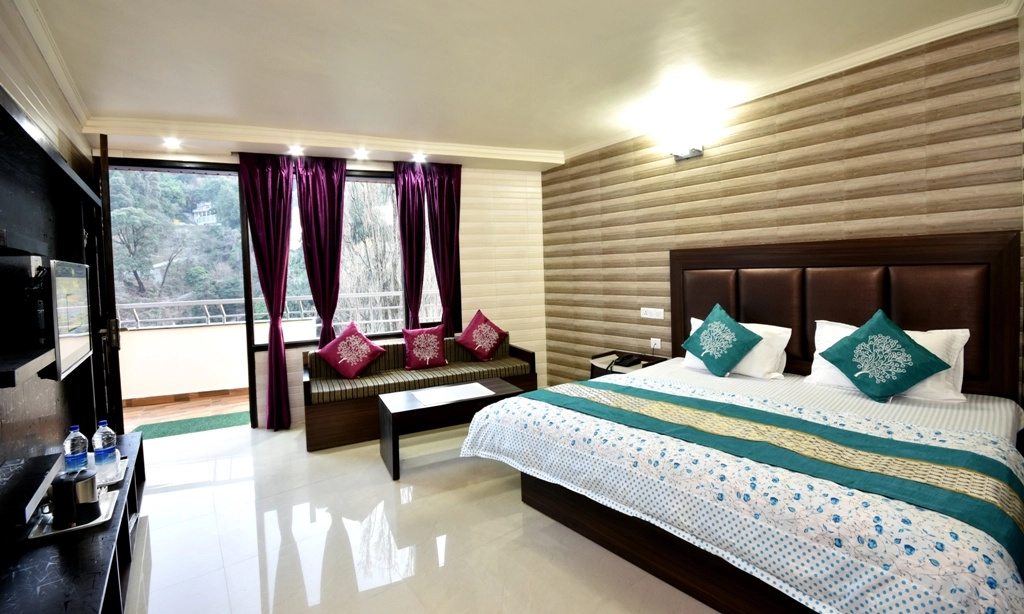 Deluxe Double room (full double bed)