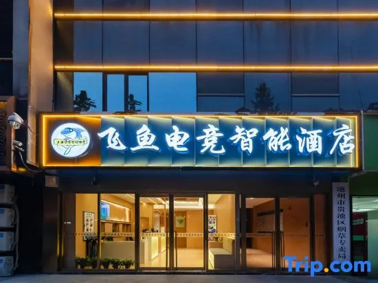 Chizhou Feiyu E-sports Smart Hotel