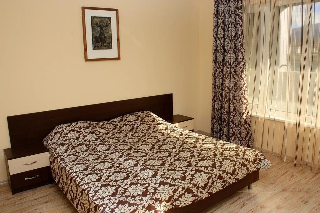 Hotel Arena Samokov - Général