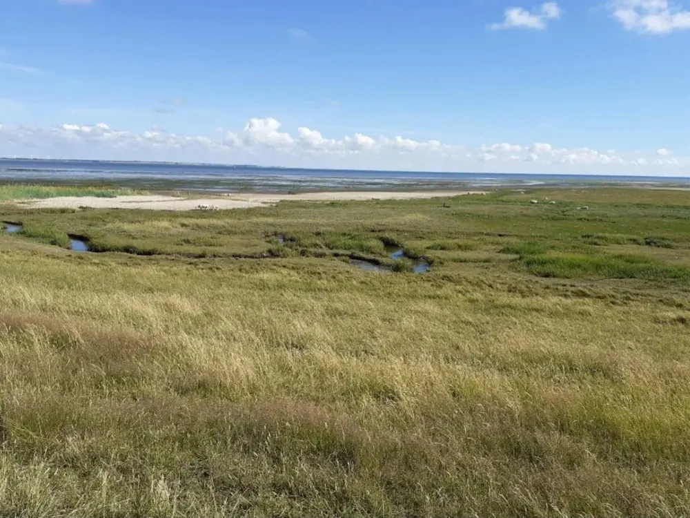 18 Person Holiday Home in Romo