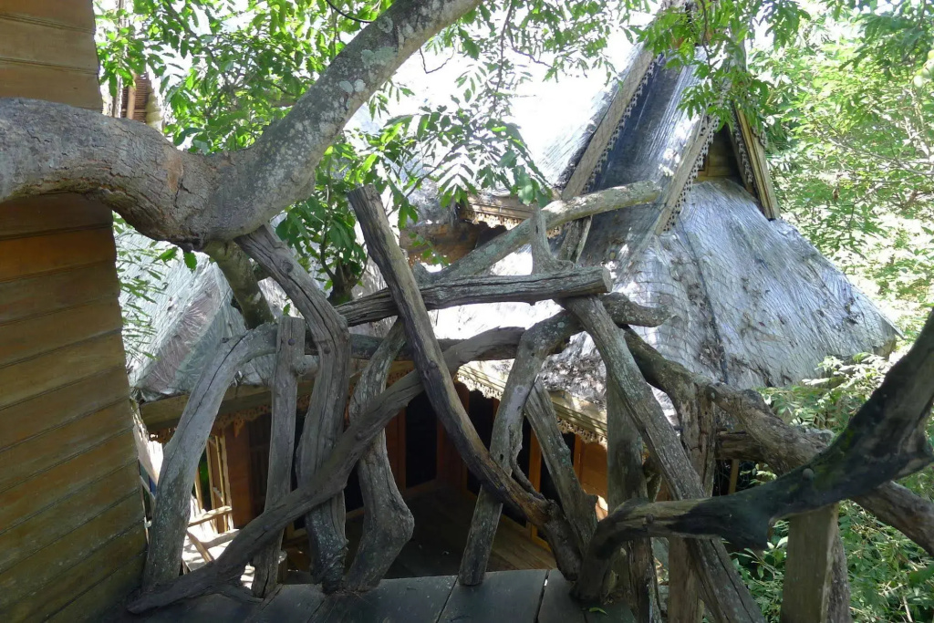 Pai Treehouse Resort - фото 13