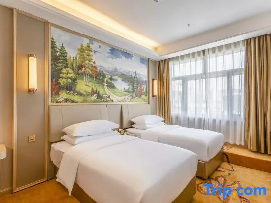 Business Double room (twin beds)