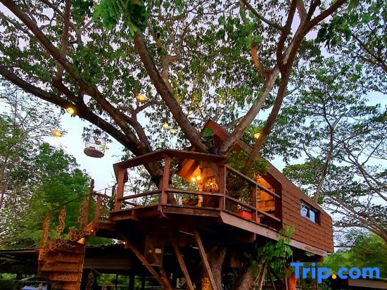 Kenaray Farmstay Riverside