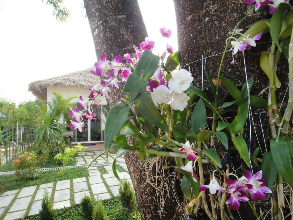 Blue Sea Boutique Hotel - Général
