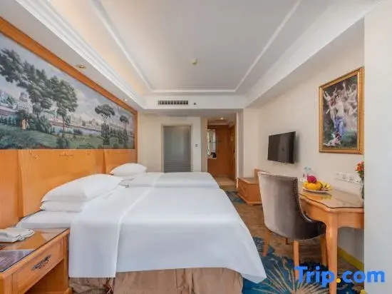 Vienna Hotel Guangzhou Chimelong Dashi Metro Station - Chambres