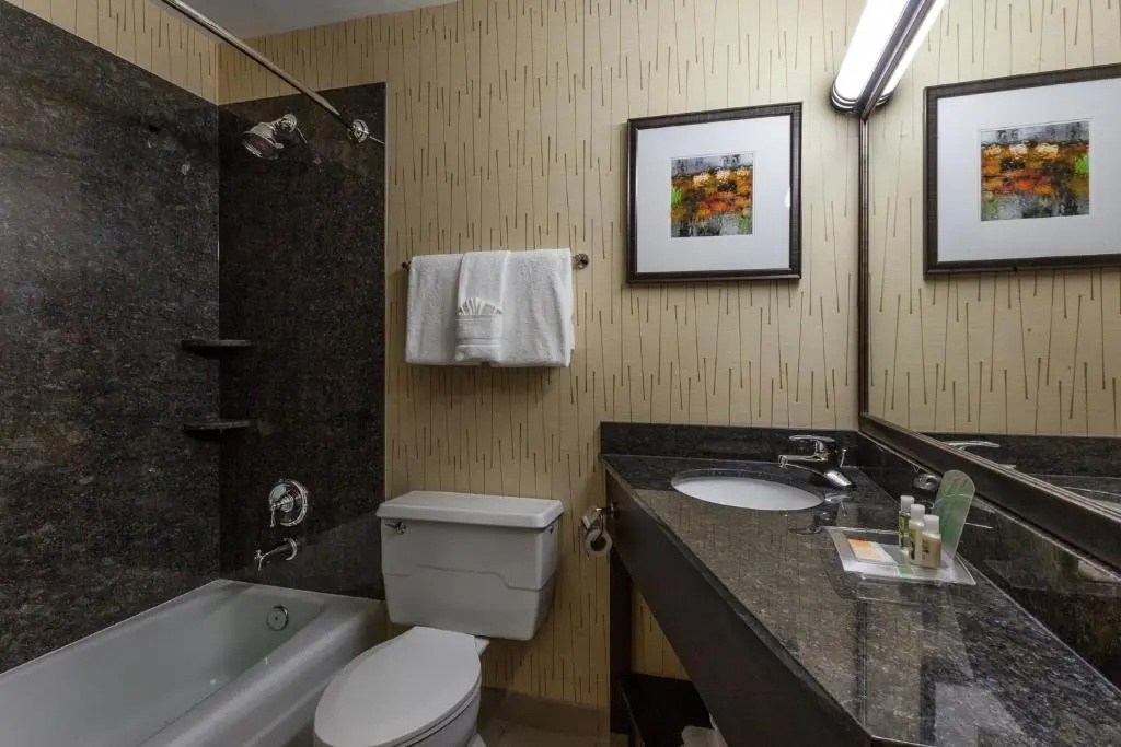 Holiday Inn Chicago North-Evanston by IHG - Chambres