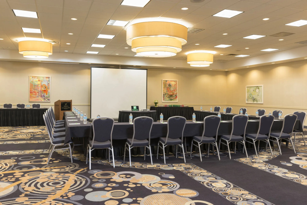 Holiday Inn Chicago - Elk Grove - Général