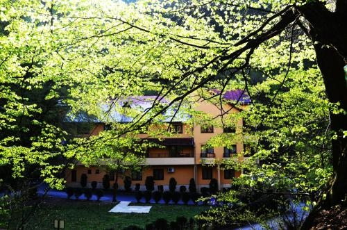 Pensiunea Magura — фото 3