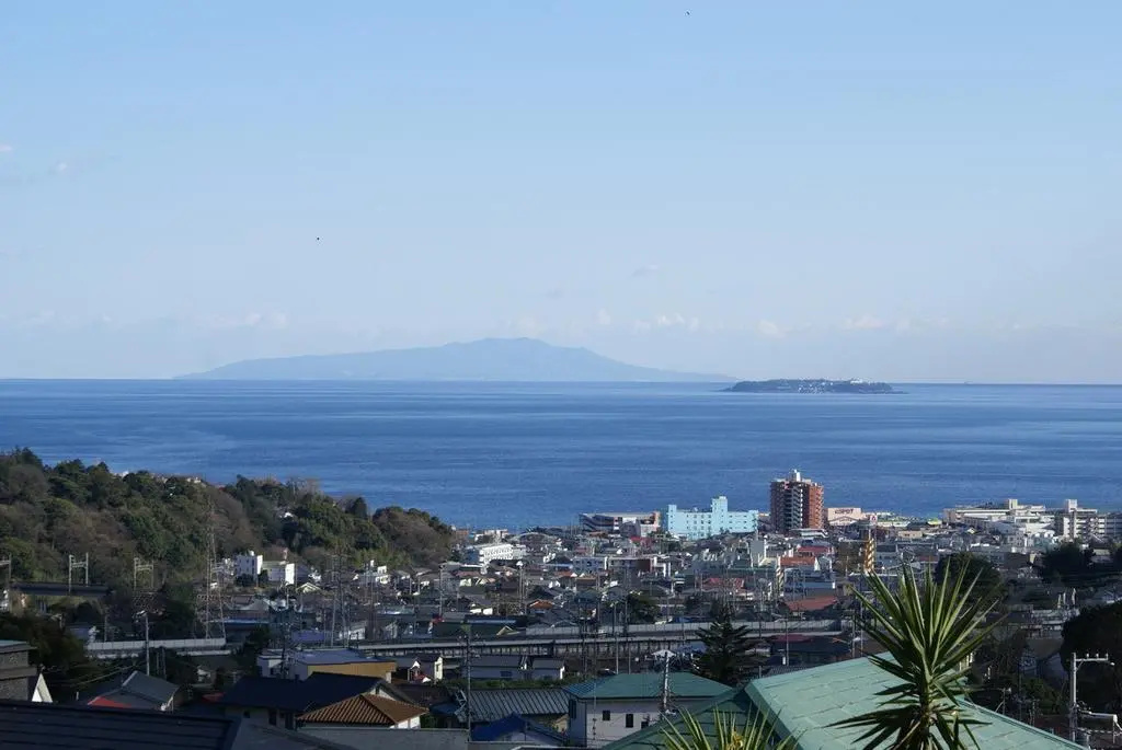 image url
