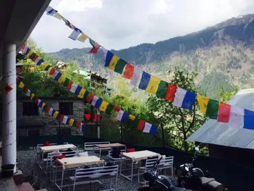 Bro's Backpacker's Fraternity House
