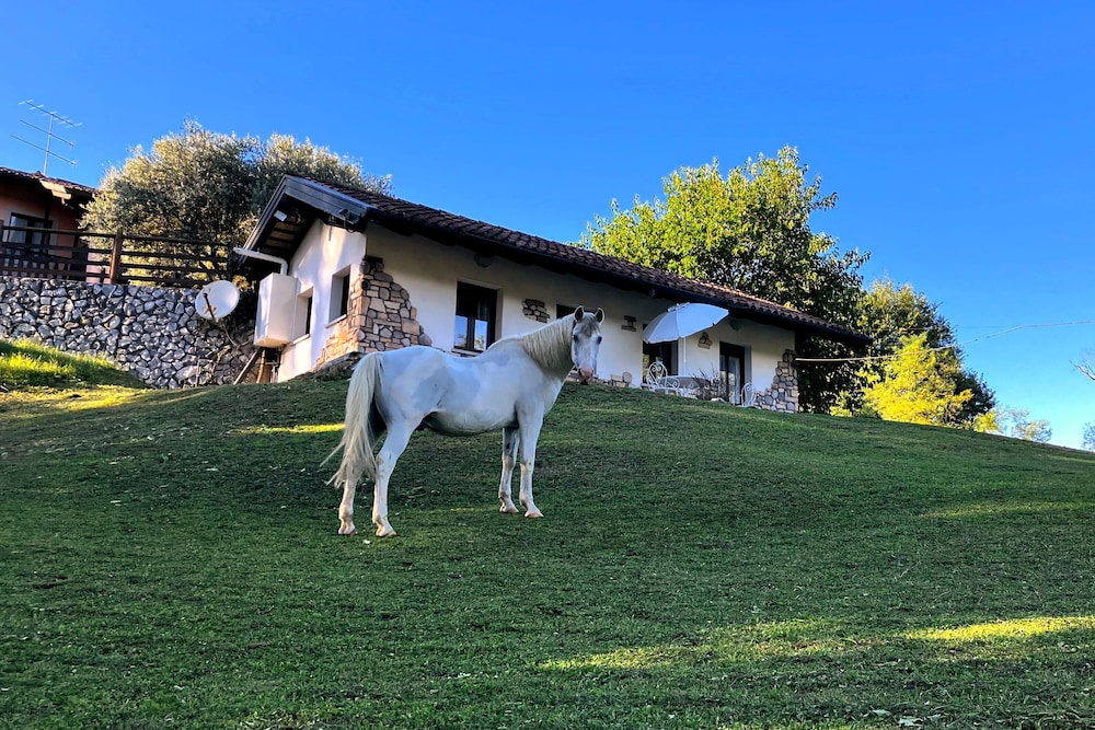 Hotel photo 46