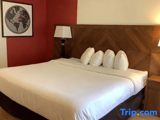 Standard room with river view