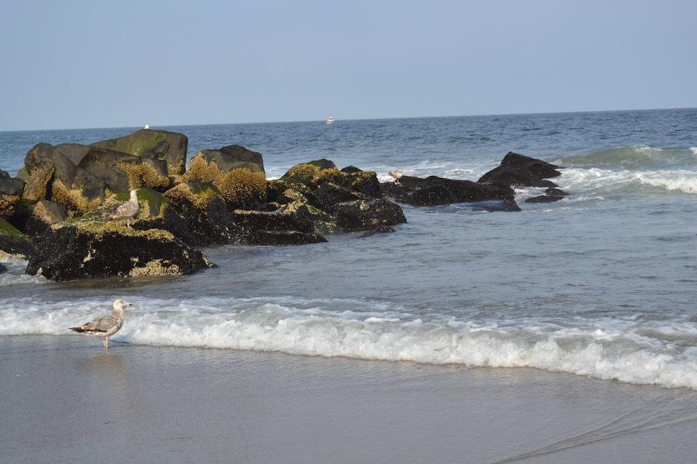 Image 12