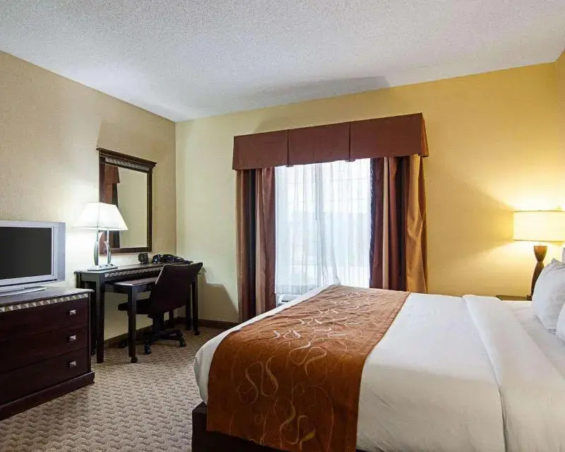Standard Suite