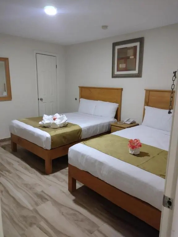 Double room (Window is Subject to Availability) (twin beds)