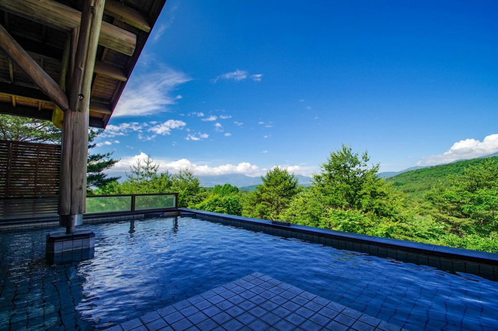 Tsumagoi Prince Hotel - Général
