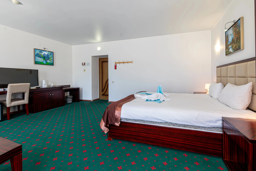 Wellness Hotel - Chambres