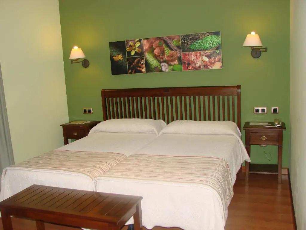 Standard Double room (twin beds)
