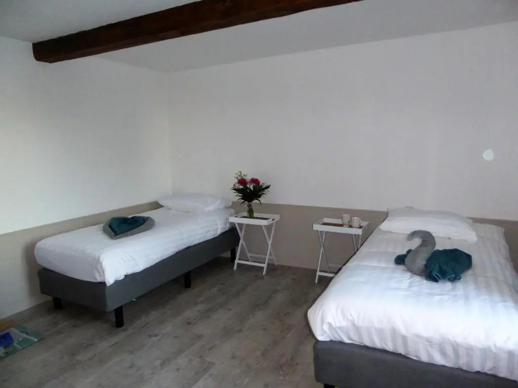 Standard Double room with pool view (twin beds)
