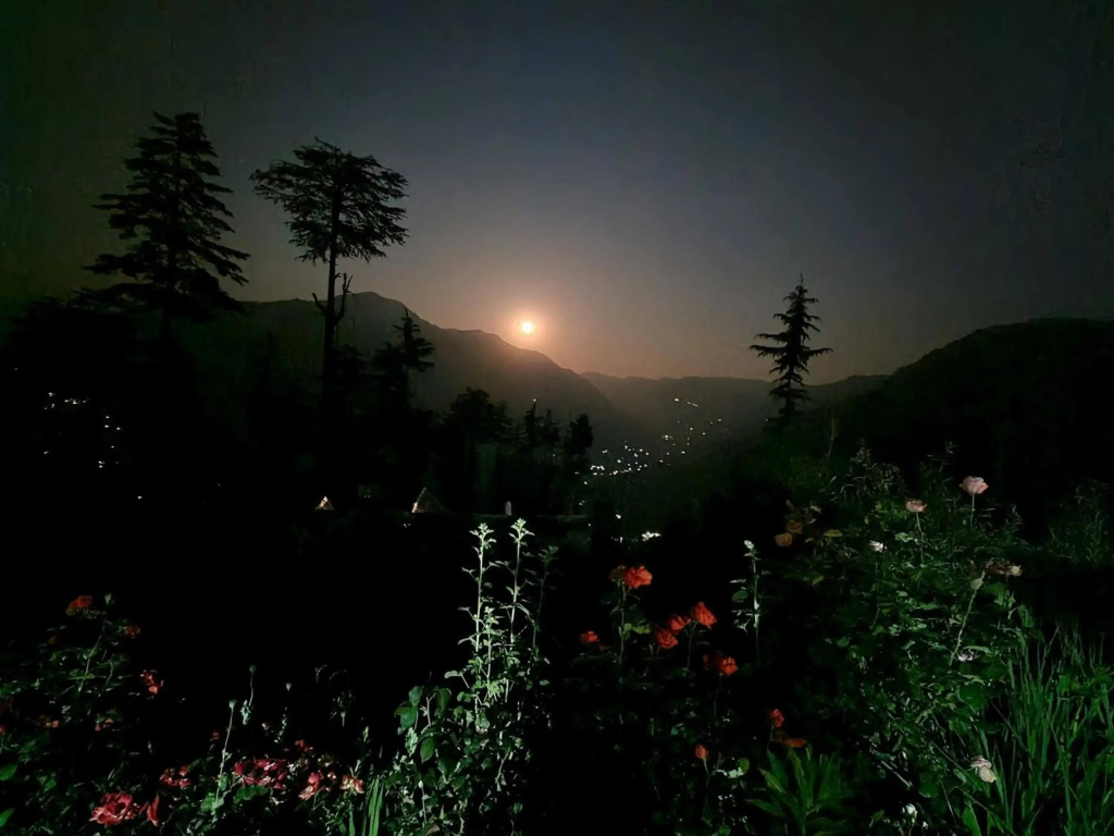 Ishan Log Huts- Boutique Homestay- since 1999