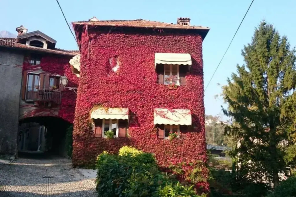 The Ivy House in the Castle