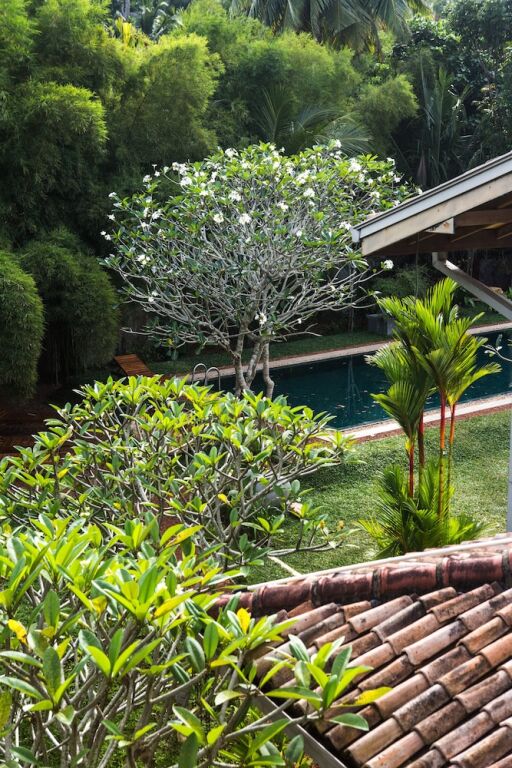 Villa White Queen