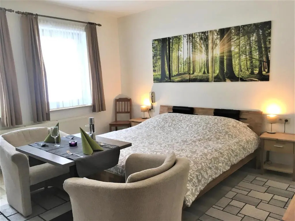 Standard Double room (full double bed)