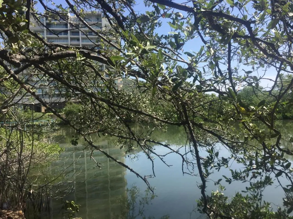 Standard Double room with lake view (full double bed)