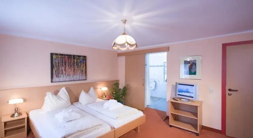 Hotel Aloisia - Général