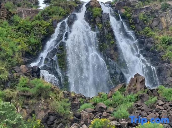 Waratah Waterfall Retreat Unit1 Free Breakfast, WiFi & Pay Tv