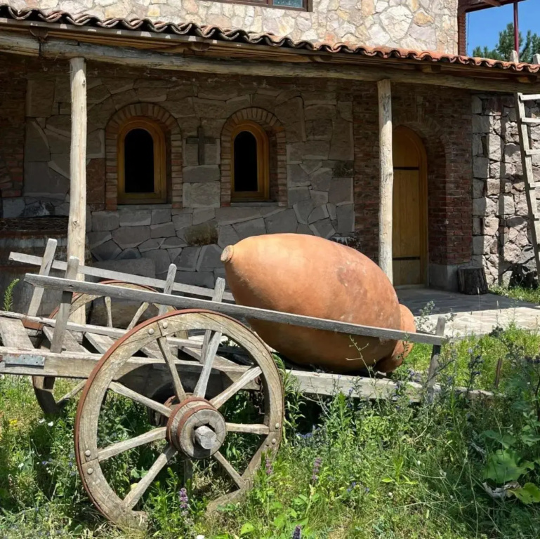 Guest House Tirebi