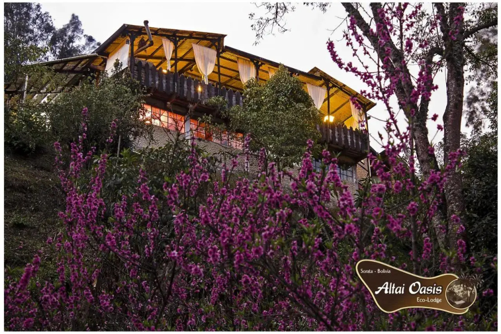 Altai Oasis Eco lodge