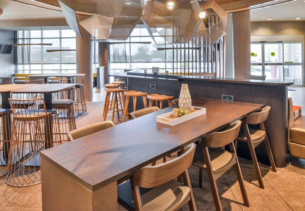 SpringHill Suites by Marriott Ashburn Dulles North - Général