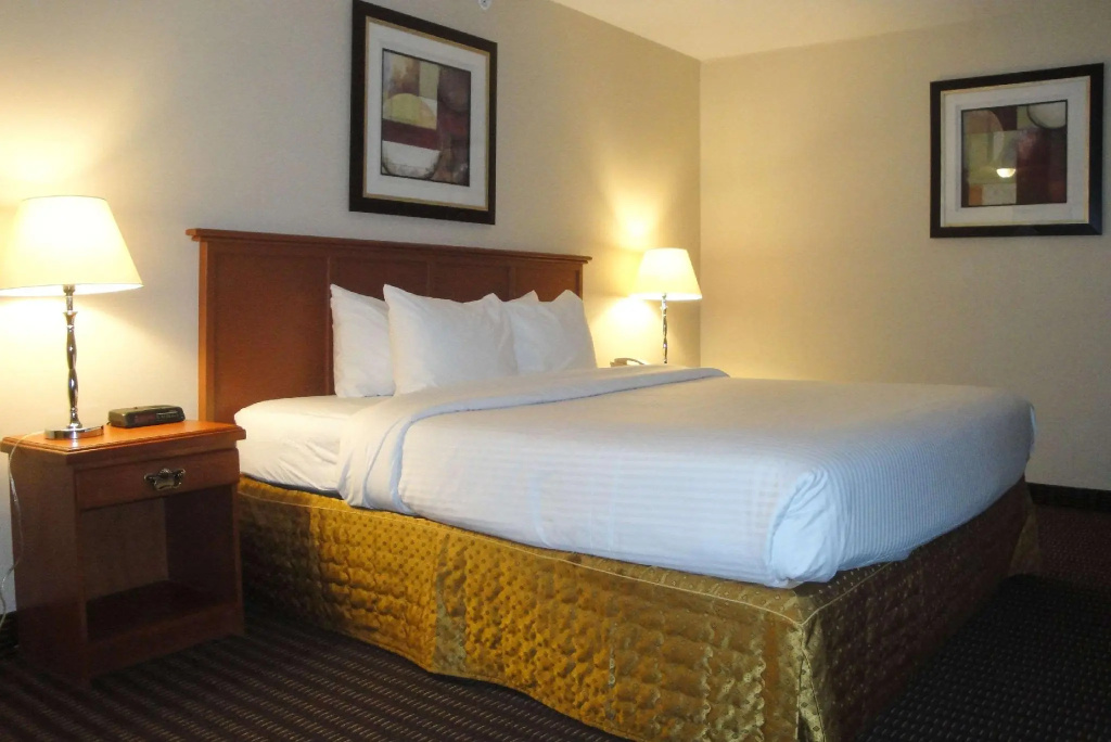 All Stay Suites - Chambres