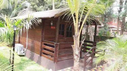 Image 8
