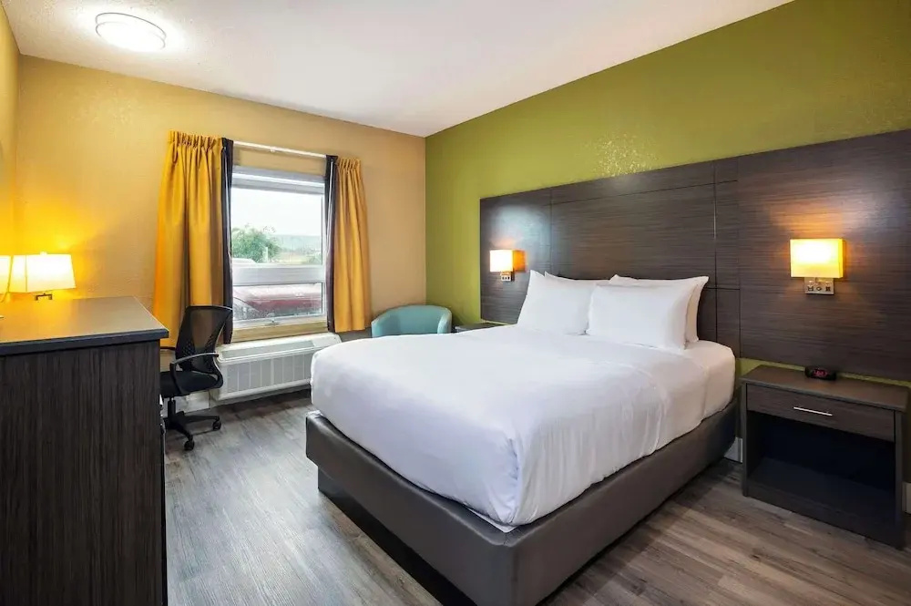 Standard Double room (full double bed)