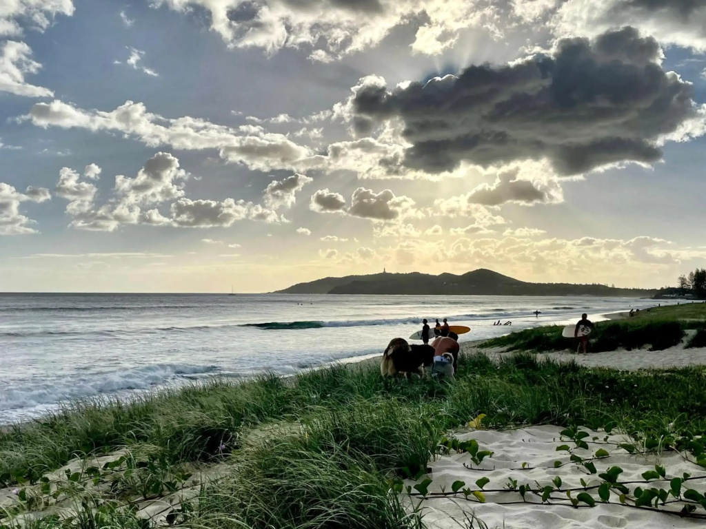 The Lily Pad at Byron Bay - Général