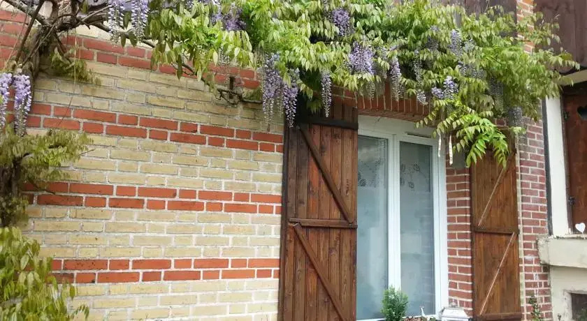 Voir la photo 2 — La Glycine