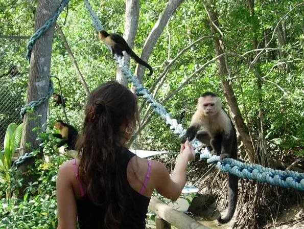 Kayak Lodge - фото 32