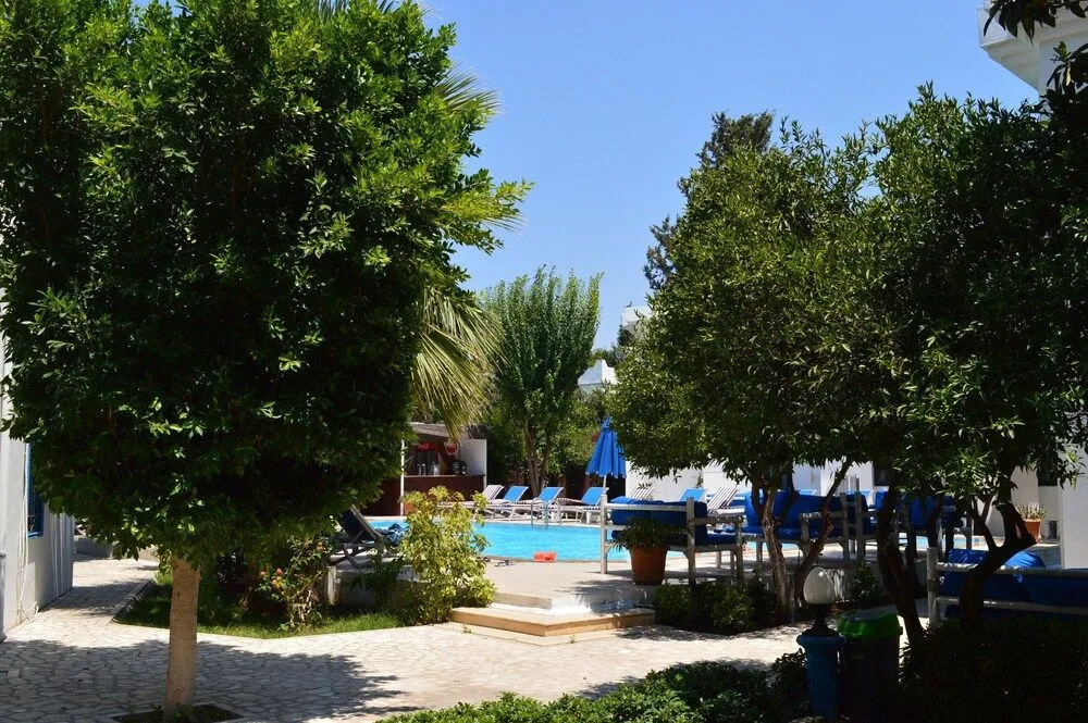 Hotel photo 12