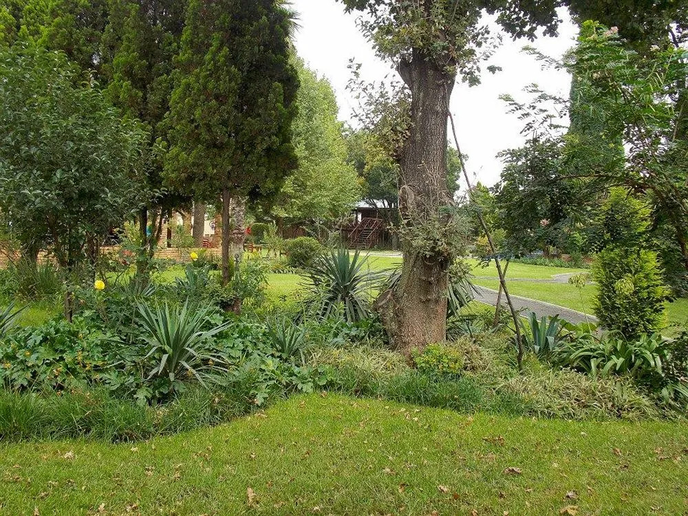 Sarabi Country Lodge - фото 8