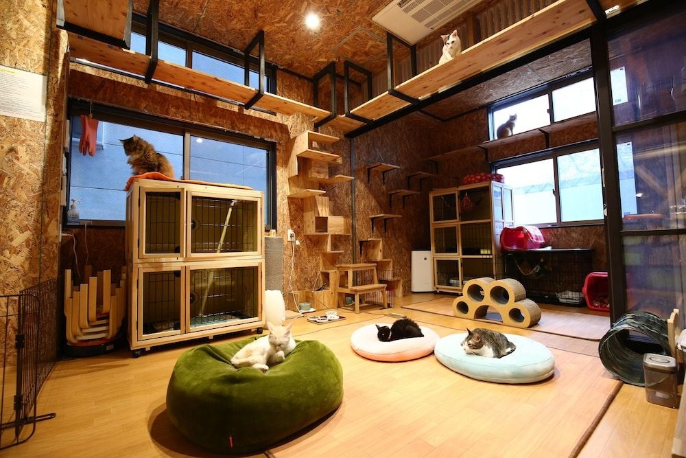 Nekokura Hostel 사진 22