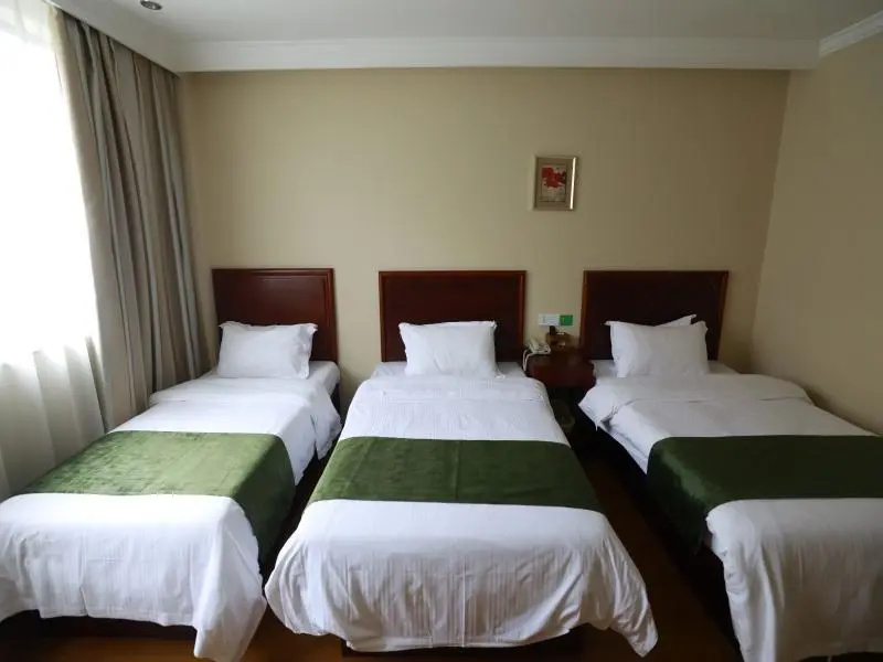 GreenTree Inn Shanghai Hongqiao Transport Hub Qibao Express Hotel - Chambres