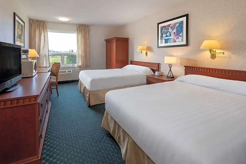 Premium Quadruple room